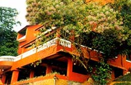 Hotels in Wayanad
