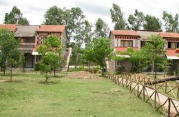 Mogli Jungle Resort Bandhavgarh