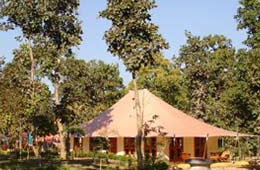 Tiger Corridor Bandhavgarh