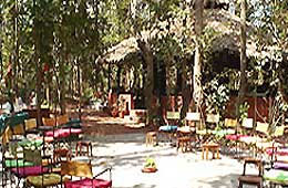 Kanha Jungle Lodge