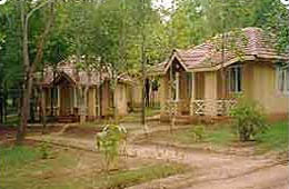 Krishna Jungle Resort