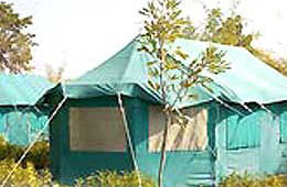 Royal Tiger Resort, Kanha National Park