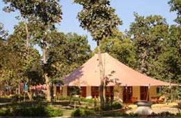 Tiger Corridor, Kanha National Park
