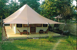 Tuli Tiger Resort