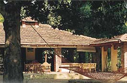 Wild Chalet Resort
