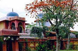 Budget Hotels in Orchha