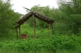 Saharia Organic Resort Jaipur