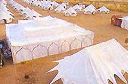 royal desert camp