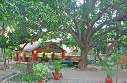 Maharani Bagh Orchard Ranakpur 