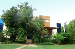 Ankur Resort
