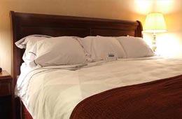 Hotel Salvation Army Coonoor