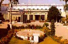 Pallavi International