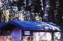 Camp Forktail Creek Resort