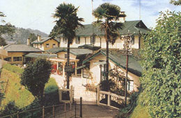 Budget Hotels in Darjeeling