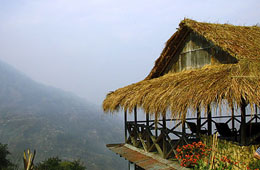 Karmi Farm Darjeeling