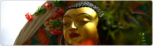 Buddha Purnima Festival Tour