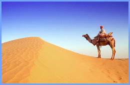 Rajasthan Tour Packages