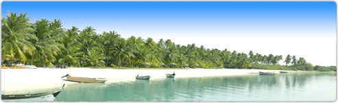 Exclusive Kerala Beach Tours