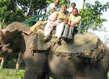 Elephant Safari in India