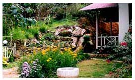Hotel Olive Brook
