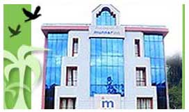 Munnar Inn