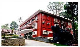 Forest Haven Resort