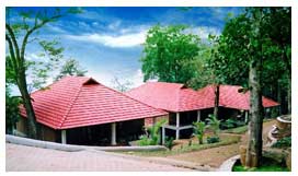 Munnar Woods Resort