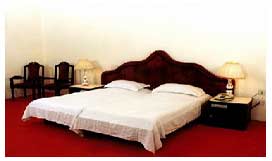 budget hotels in wayanad