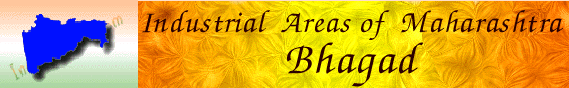 Industrial Profile of Bhagad