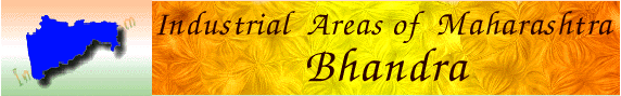 Industrial Profile of Bhandra