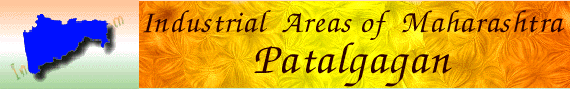 Industrial Profile of Patalganga 