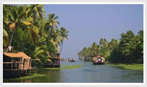 Discover Kerala