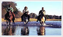 Rajasthan Horse Safari- Nawalgarh to Bikaner