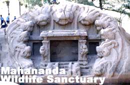Mahananda Wildlife Sanctuary - Siliguri