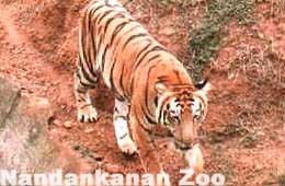 Nandankanan National Park