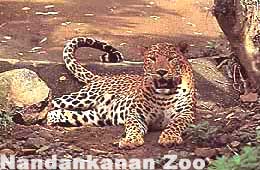 Nandankanan National Park