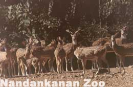 Nandankanan National Park