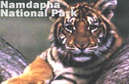 Tour to Namdapha, Namdapha Park Changlang Arunachal Pradesh India