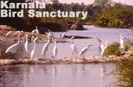 Karnala Bird Sanctuary