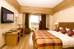 Economy Hotels in India
