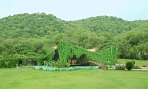 Ranthambore Forest Resort