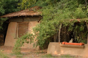 Taj Mahua Kothi