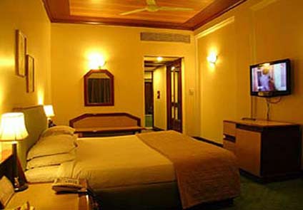 Hotel Piccadily Raipur