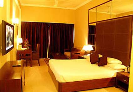 Hotel Piccadily Raipur