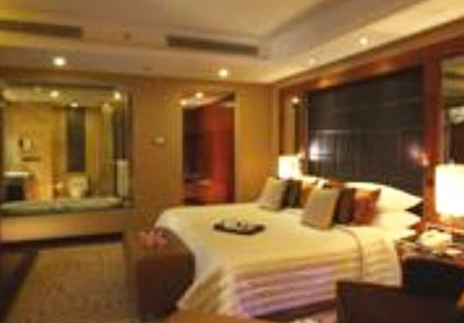 Hotel Radisson Blue Paschim Vihar, Delhi