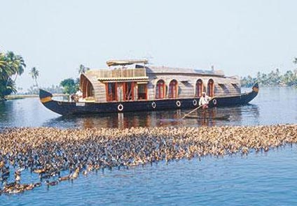Soma Houseboats Alleppey