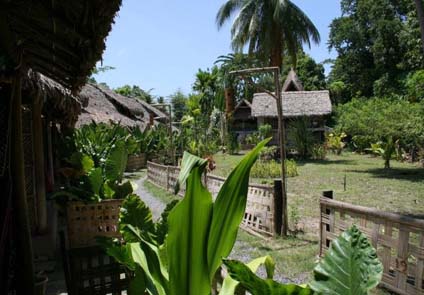 Wild Orchid Havelock Island