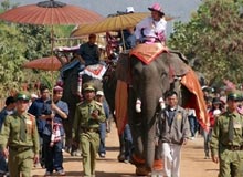 2007 Elephant Festival in India