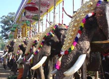 2007 Elephant Festival in India