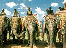 2007 Elephant Festival in India